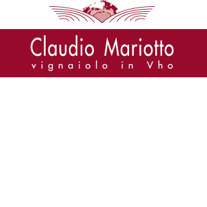 claudio_mariotto.png